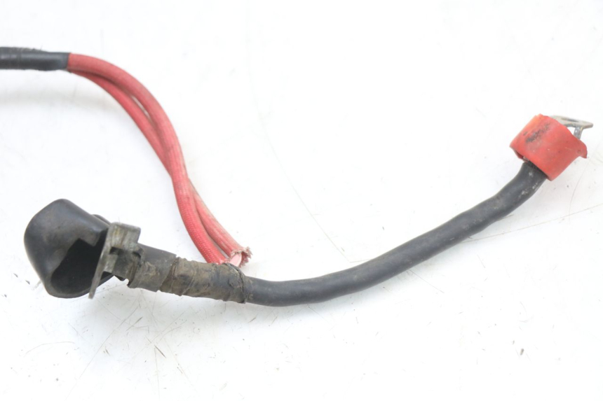 photo de FAISCEAU BATTERIE HONDA TRX 300 (1988 - 2000)