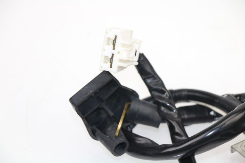 photo de FAISCEAU BATTERIE KAWASAKI VERSYS ABS 650 (2015 - 2018)