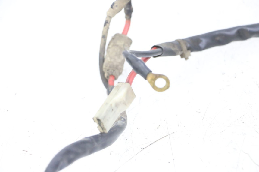 photo de FAISCEAU BATTERIE PIAGGIO TYPHOON 80 (1994 - 1997)