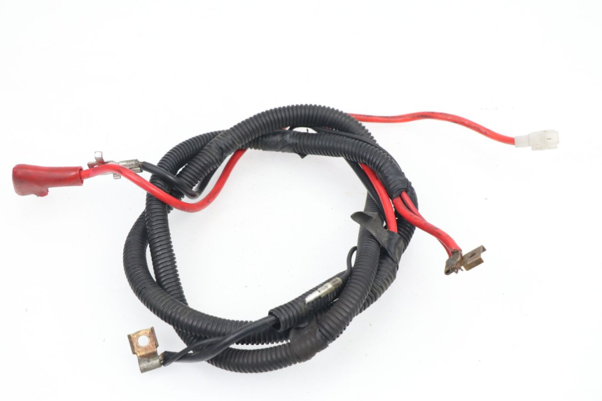 photo de FAISCEAU BATTERIE TGB X-MOTION XMOTION 125 (2008 - 2014)