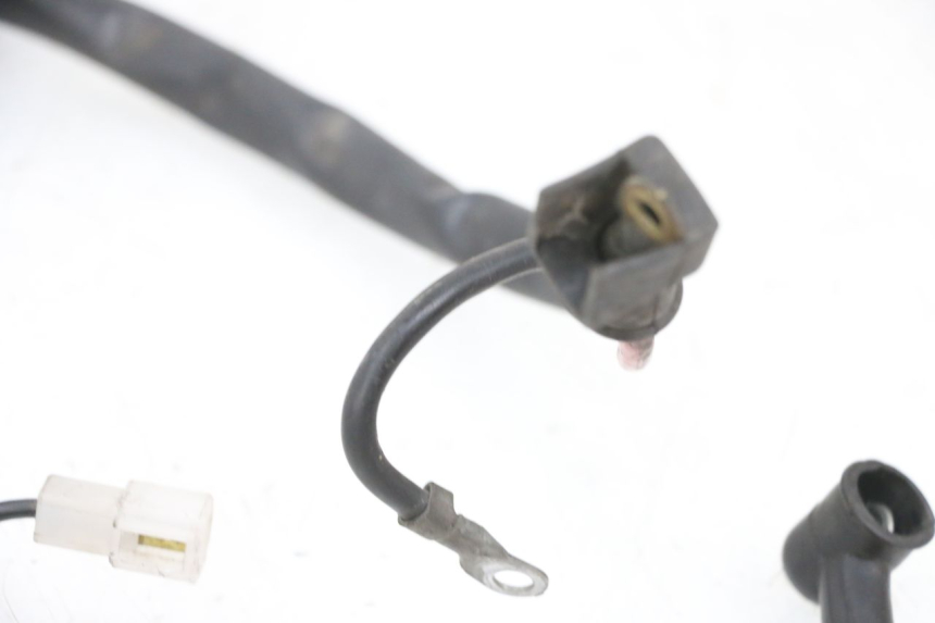 photo de FAISCEAU BATTERIE YAMAHA YP MAJESTY 125 (2002 - 2006) - Vue d’ensemble