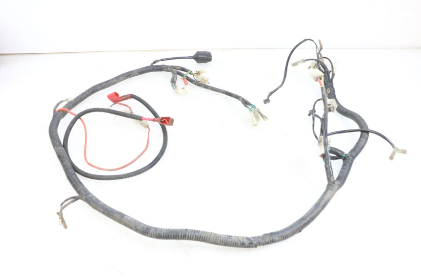 photo de FAISCEAU BEELINE VELOCE 4T 50 (2011 - 2020)