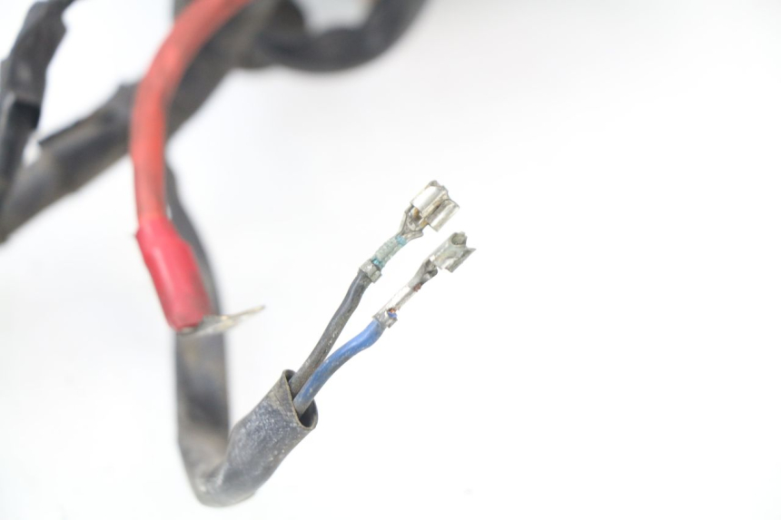 photo de FAISCEAU PIAGGIO BEVERLY 500 (2003 - 2007)