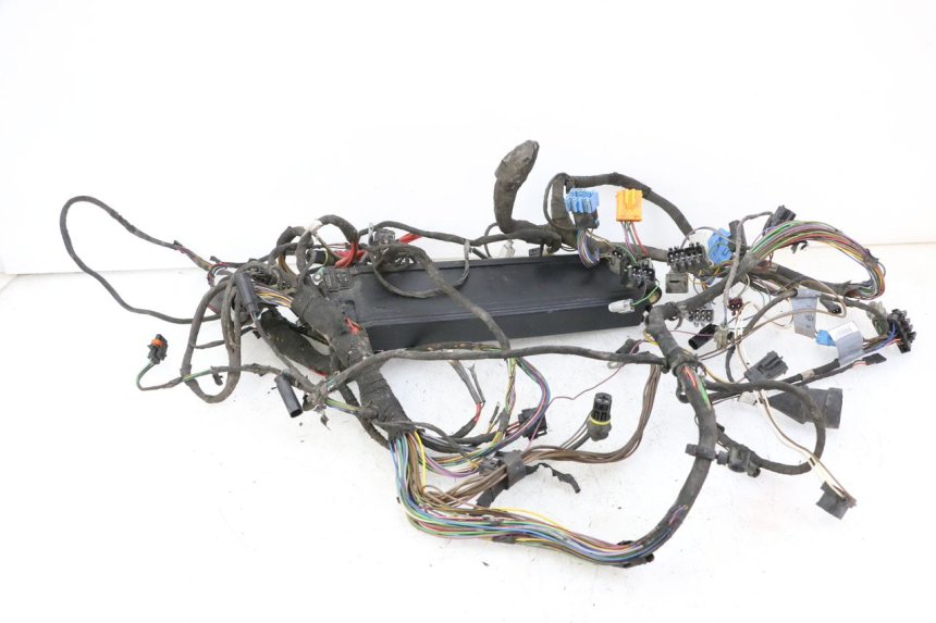 photo de FAISCEAU BMW C1 125 (2000 - 2003)