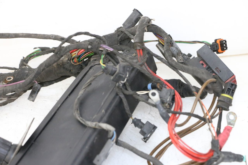 photo de FAISCEAU BMW C1 125 (2000 - 2003)