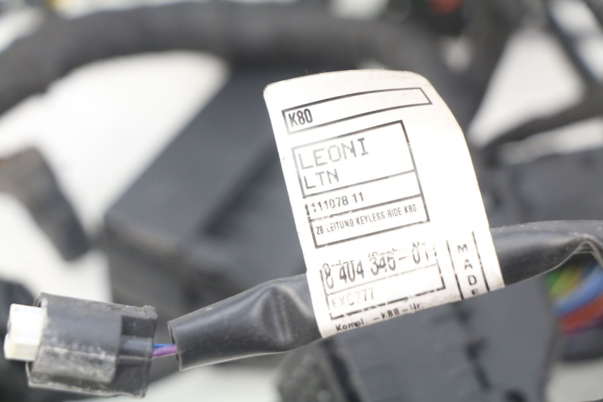 photo de FAISCEAU BMW F GS K81 850 (2018 - 2023)