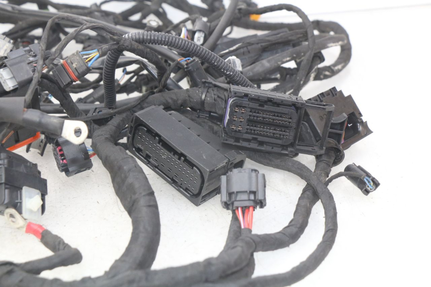photo de FAISCEAU BMW F GS K81 850 (2018 - 2023)