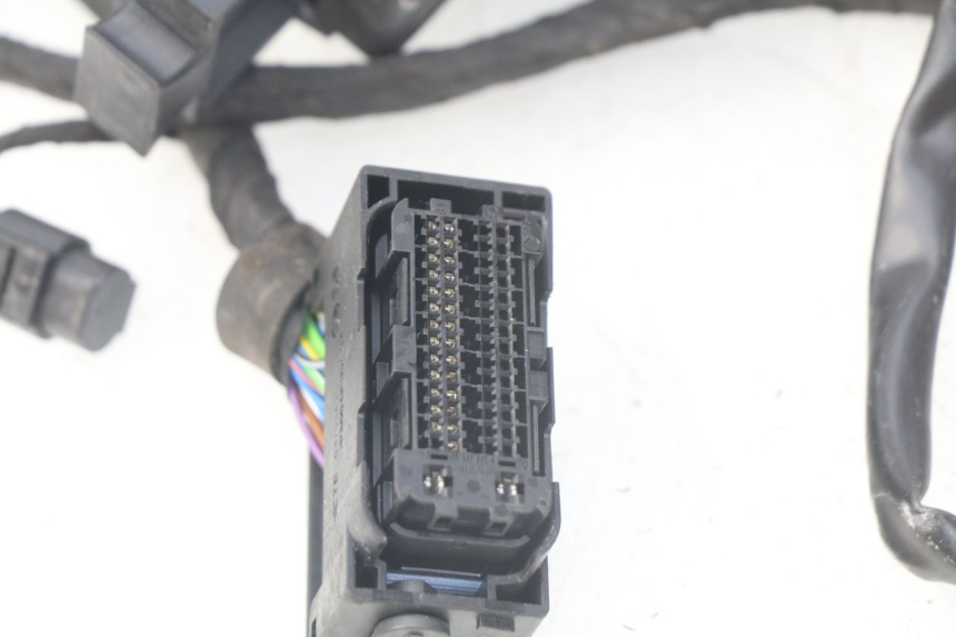 photo de FAISCEAU BMW F GS K81 850 (2018 - 2023)