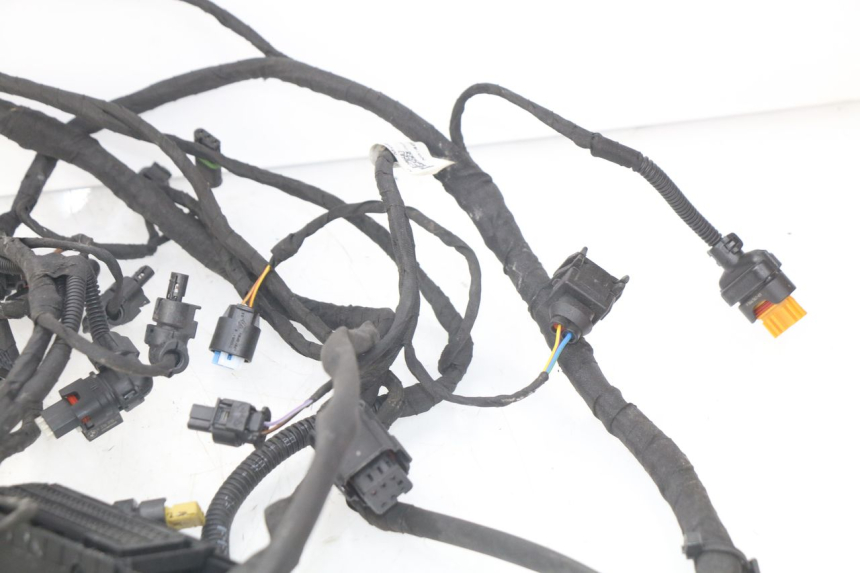 photo de FAISCEAU BMW F GS K81 850 (2018 - 2023)