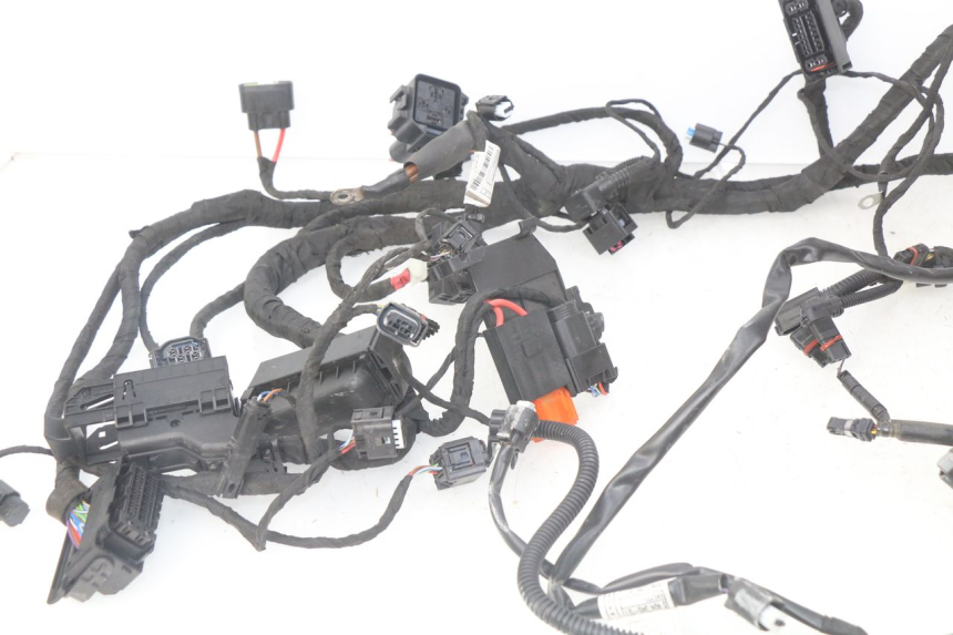 photo de FAISCEAU BMW F GS K81 850 (2018 - 2023)