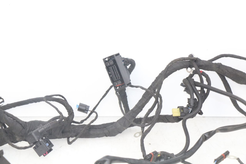 photo de FAISCEAU BMW F GS K81 850 (2018 - 2023)