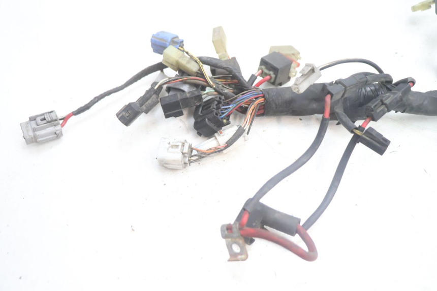 photo de FAISCEAU SUZUKI BURGMAN EXECUTIVE ABS 650 (2006 - 2012) - Détail de la pièce
