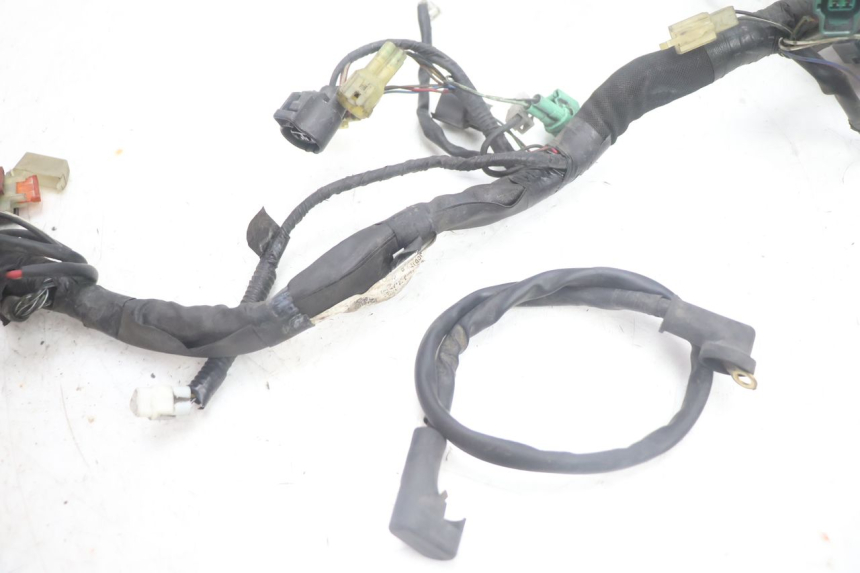 photo de FAISCEAU SUZUKI BURGMAN EXECUTIVE ABS 650 (2006 - 2012) - Zoom état d’usage