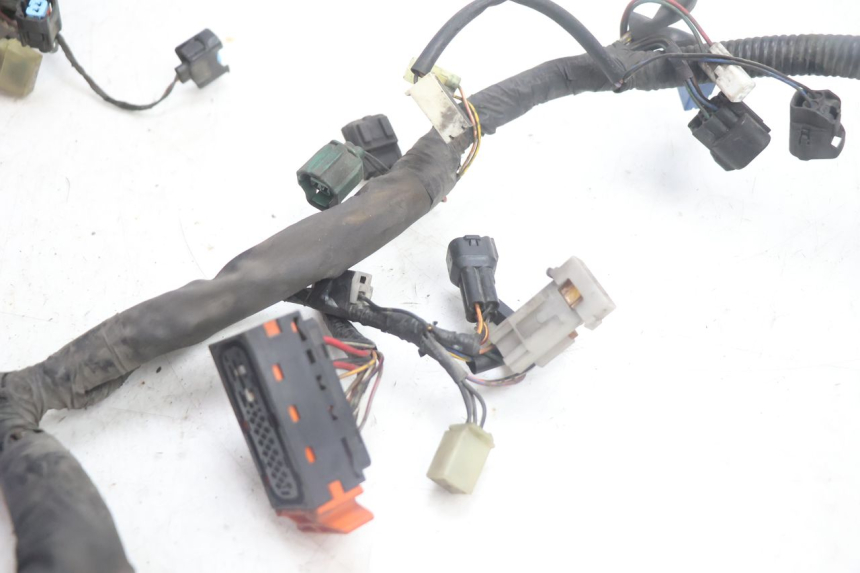 photo de FAISCEAU SUZUKI BURGMAN EXECUTIVE ABS 650 (2006 - 2012) - Vue d’ensemble