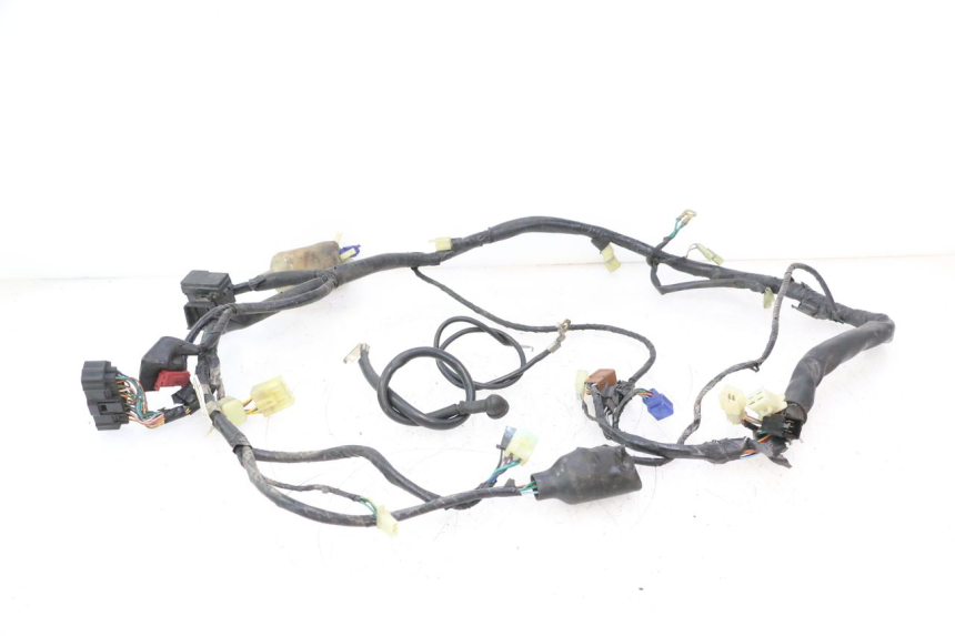 photo de FAISCEAU HONDA CB F HORNET 600 (2005 - 2006) - Vue principale