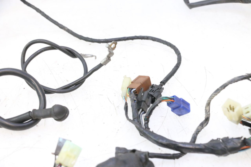 photo de FAISCEAU HONDA CB F HORNET 600 (2005 - 2006) - Vue produit