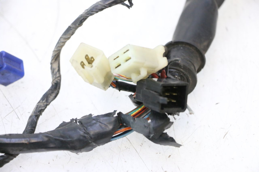 photo de FAISCEAU HONDA CB F HORNET 600 (2005 - 2006) - Détails caractéristiques