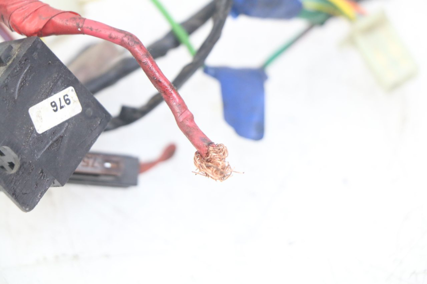 photo de FAISCEAU PEUGEOT CITYSTAR 2T 50 (2018 - 2021)