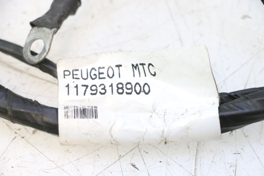 photo de FAISCEAU PEUGEOT CITYSTAR 2T 50 (2018 - 2021) - Autre angle de vue