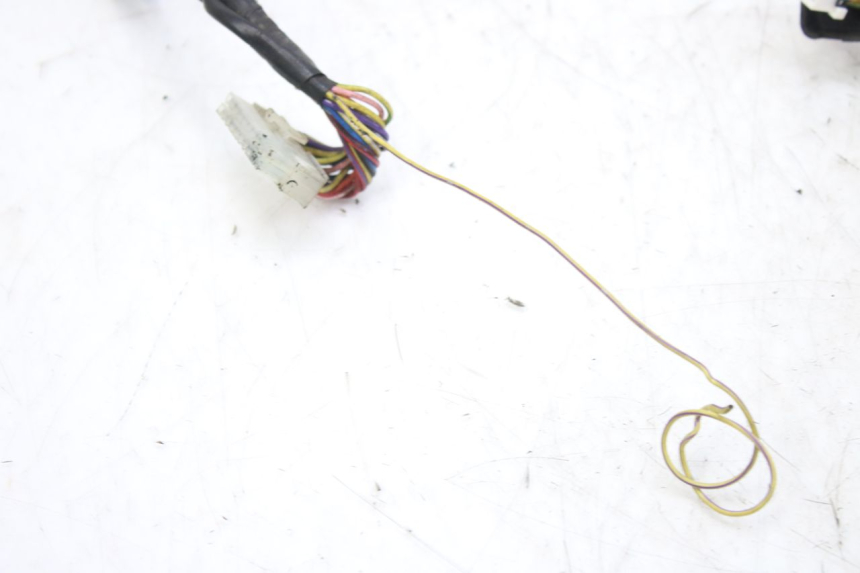 photo de FAISCEAU COMPTEUR DERBI GPR 50 (2004 - 2009)