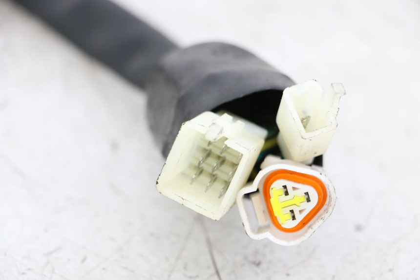 photo de FAISCEAU COMPTEUR NECO GPX LC 2T 50 (2014 - 2018)