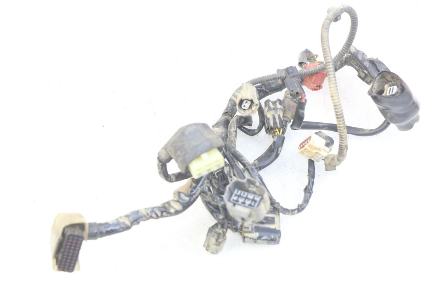 photo de FAISCEAU HONDA CRF CR-F RX 450 (2017 - 2021) - Vue principale