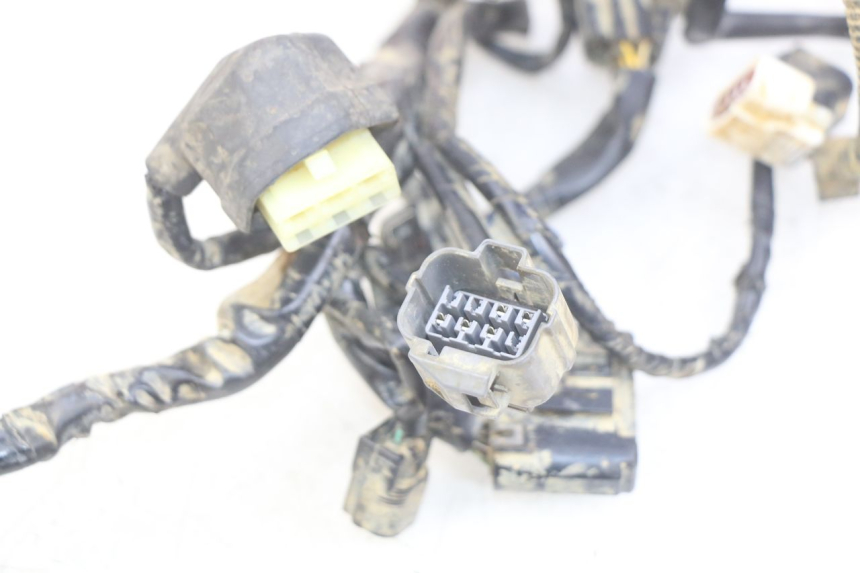 photo de FAISCEAU HONDA CRF CR-F RX 450 (2017 - 2021) - Vue d’ensemble