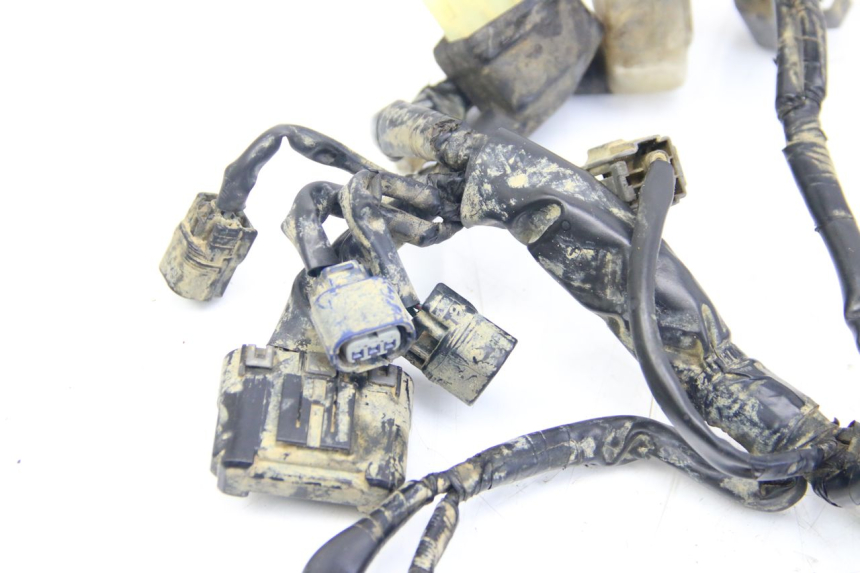 photo de FAISCEAU HONDA CRF CR-F RX 450 (2017 - 2021) - Marquages et références