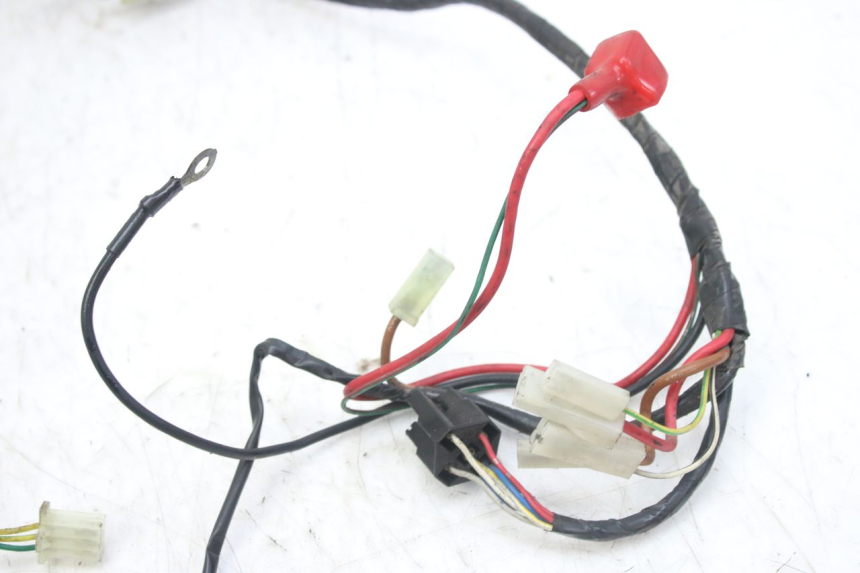 photo de FAISCEAU DERBI GPR 50 (2004 - 2009)