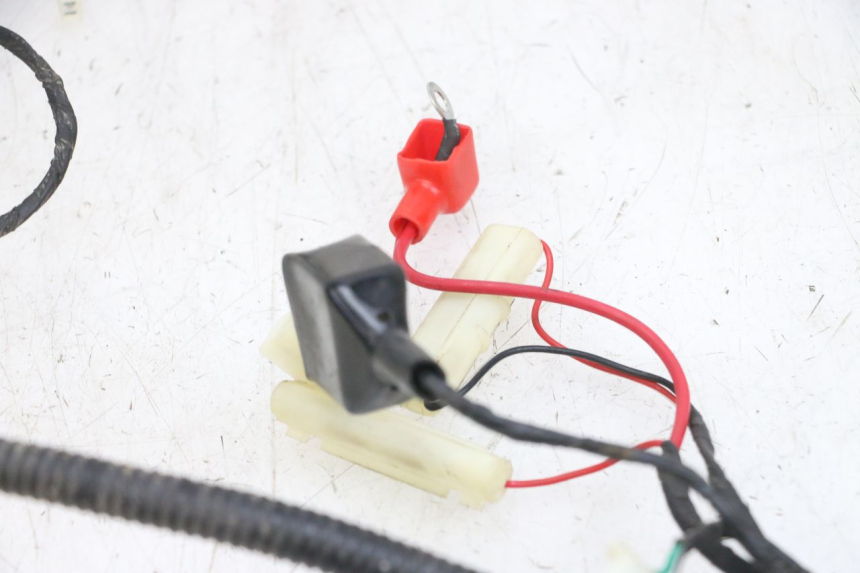 photo de FAISCEAU LONGJIA DIGITA 4T 50 (2019 - 2022) - Marquages et références