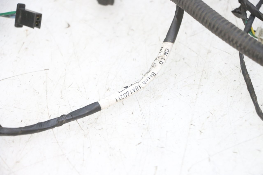 photo de FAISCEAU PEUGEOT DJANGO 4T 50 (2014 - 2019) - Focus structure