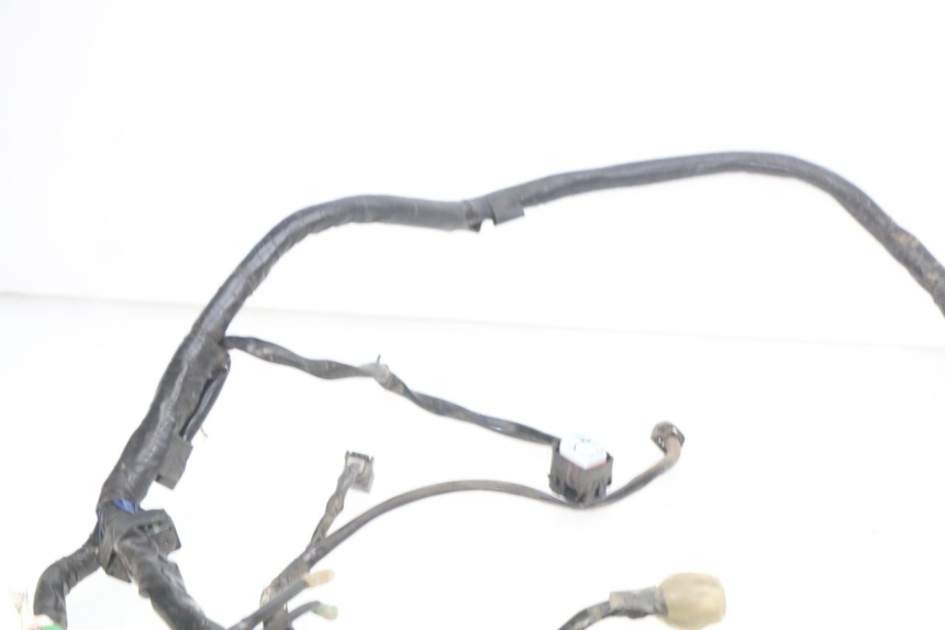 photo de FAISCEAU YAMAHA D'ELIGHT DELIGHT 115 (2013 - 2017)