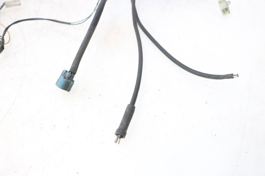 photo de FAISCEAU PEUGEOT ELYSTAR 50 (2002 - 2014) - Gros plan technique