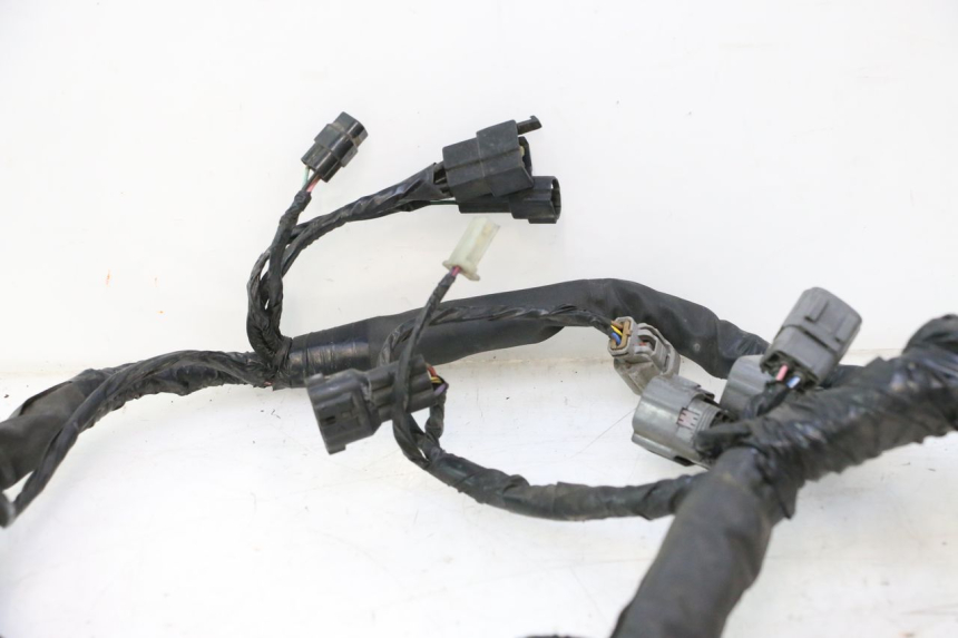 photo de FAISCEAU KAWASAKI ER-6 ER6 N 650 (2005 - 2009) - Vue rapprochée