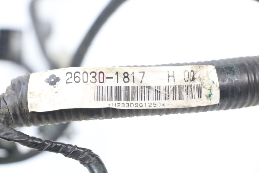 photo de FAISCEAU KAWASAKI ER5 ER-5 500 (2001 - 2004) - Détail de la pièce