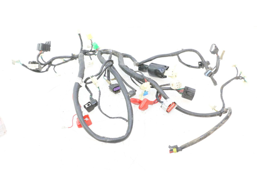 photo de FAISCEAU JM MOTORS F45i 4T 50 (2020 - 2023) - Vue principale
