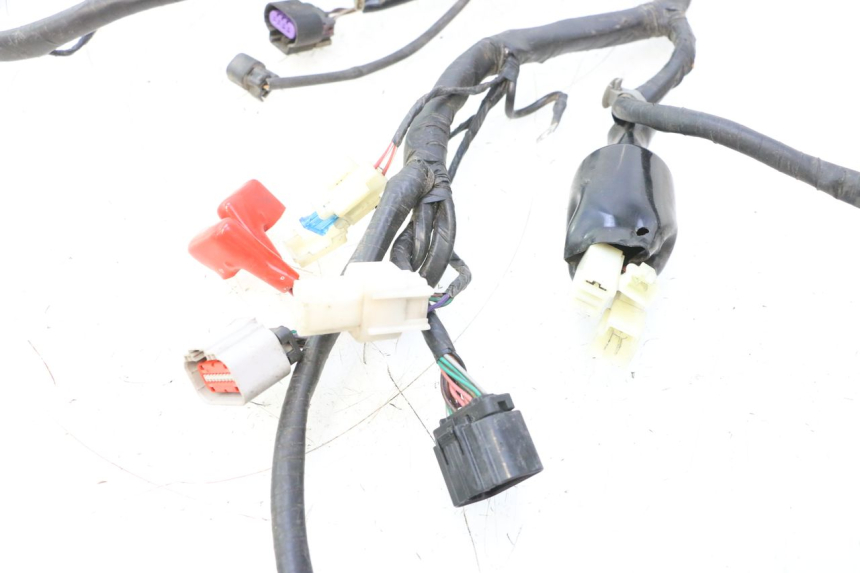 photo de FAISCEAU JM MOTORS F45i 4T 50 (2020 - 2023) - Gros plan technique
