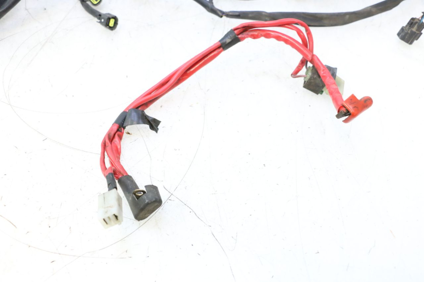 photo de FAISCEAU YAMAHA FJR 1300 (2001 - 2005) - Zoom qualité