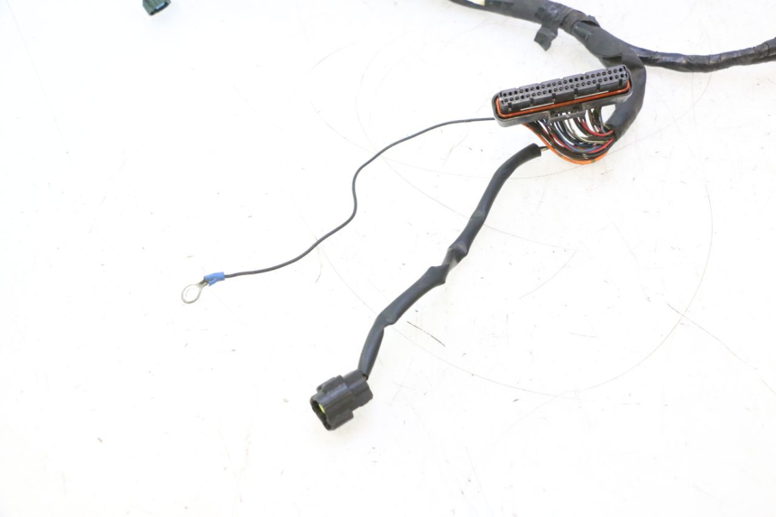 photo de FAISCEAU YAMAHA FJR 1300 (2001 - 2005) - Gros plan technique