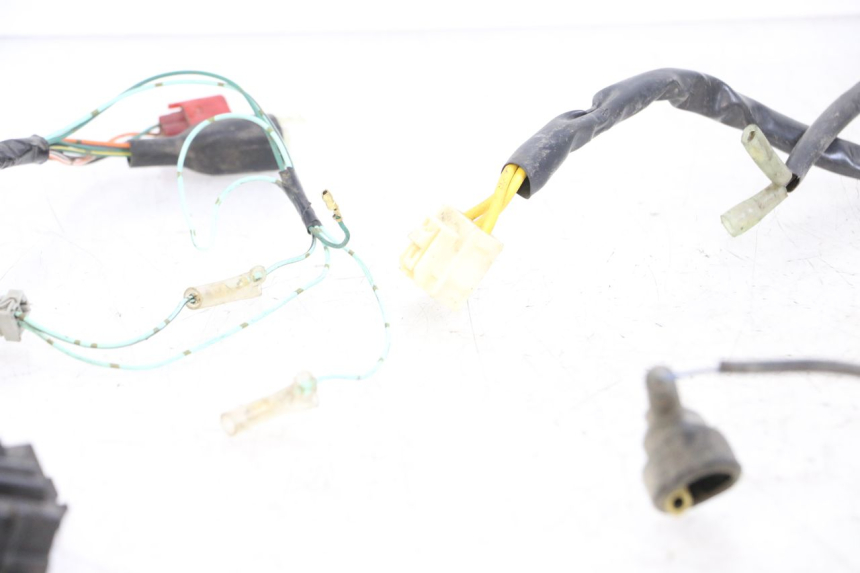 photo de FAISCEAU HONDA FJS SILVER WING SILVERWING 400 (2005 - 2008)