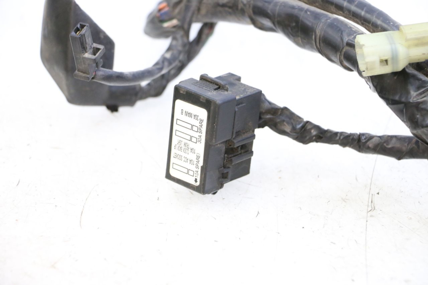 photo de FAISCEAU HONDA FJS SILVER WING SILVERWING 400 (2005 - 2008)