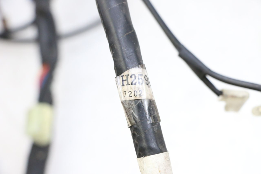 photo de FAISCEAU MBK FLAME X 125 (2007 - 2016) - Gros plan technique