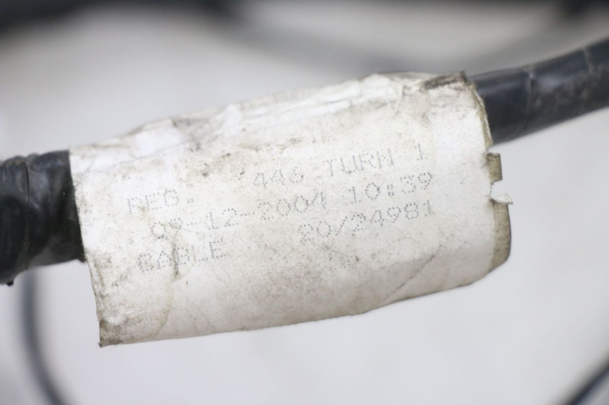 photo de FAISCEAU PIAGGIO FLY 125 (2005 - 2012)