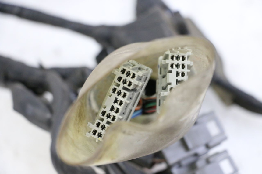 photo de FAISCEAU HONDA FORZA ABS 300 (2013 - 2019)