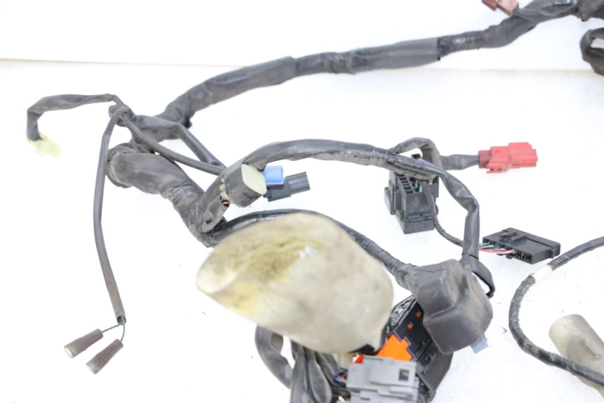 photo de FAISCEAU HONDA FORZA ABS 300 (2013 - 2019)