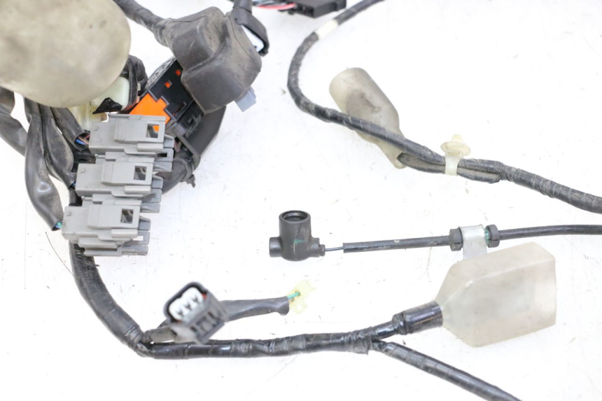 photo de FAISCEAU HONDA FORZA ABS 300 (2013 - 2019)