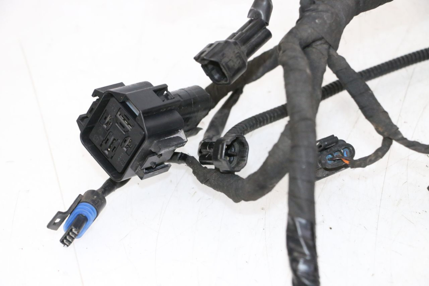 photo de FAISCEAU BMW G310 R 310 (2016 - 2020)
