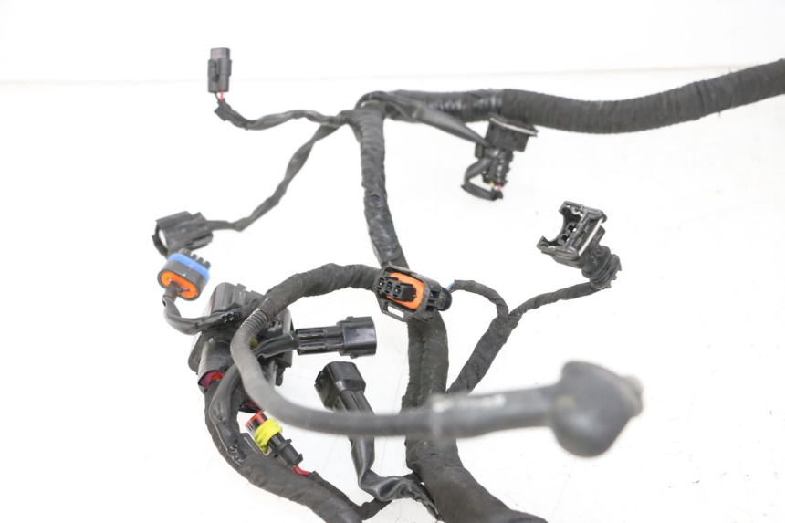 photo de FAISCEAU BMW G310 R 310 (2016 - 2020)