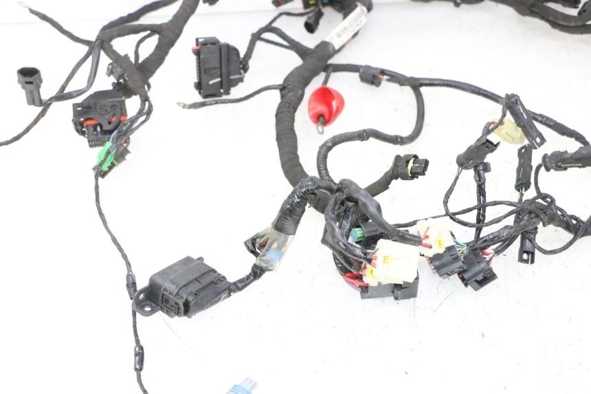 photo de FAISCEAU BMW G310 R 310 (2016 - 2020)