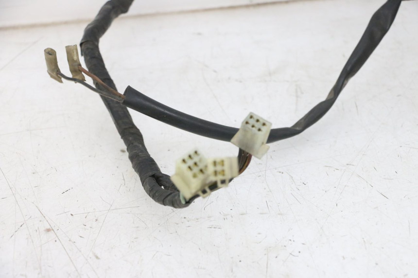 photo de FAISCEAU KAWASAKI GPX R WARBIRD 600 (1988 - 1993) - Gros plan technique